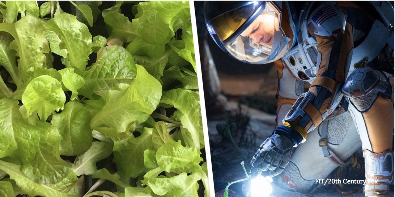 Here's How Extraterrestrial Farming Will Work on Mars